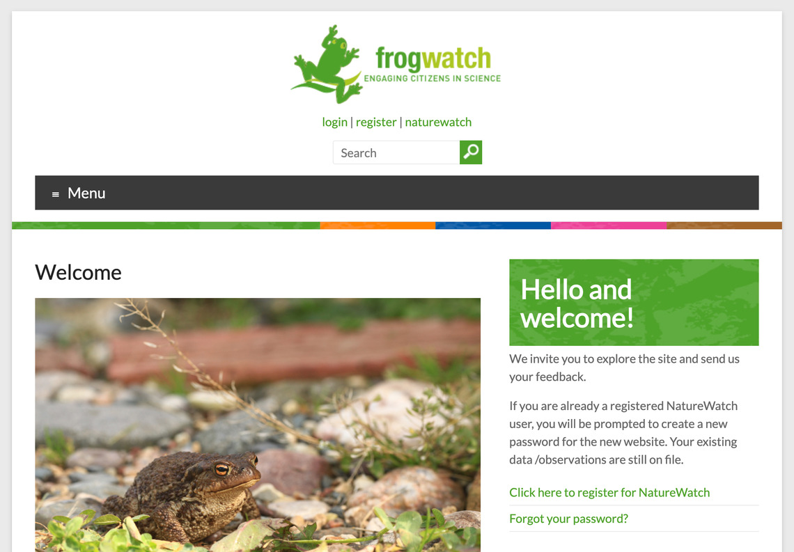 Frog Watch